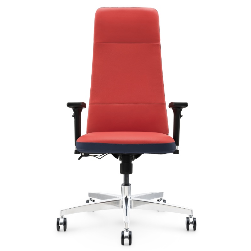 Ergonomischer Bürostuhl Leder S02A - Premium -Komfort und Unterstützung für den Bürogebrauch