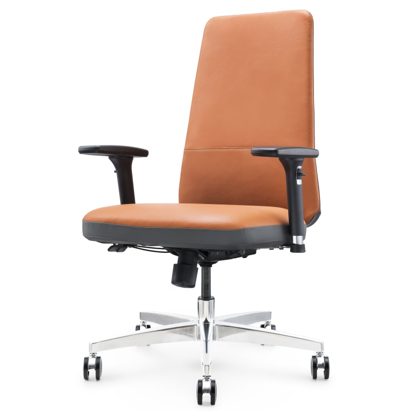 Ergonomic Leder Office Stuhl S02B - stilvolle und komfortable Sitzplätze für Arbeit oder Heimbüro