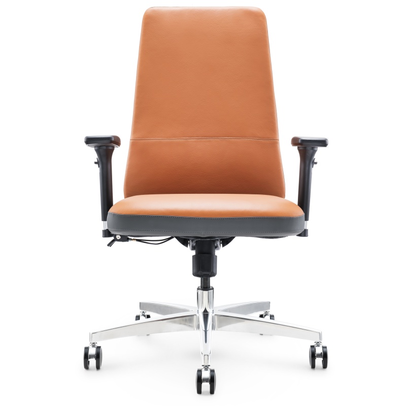 Ergonomic Leder Office Stuhl S02B - stilvolle und komfortable Sitzplätze für Arbeit oder Heimbüro