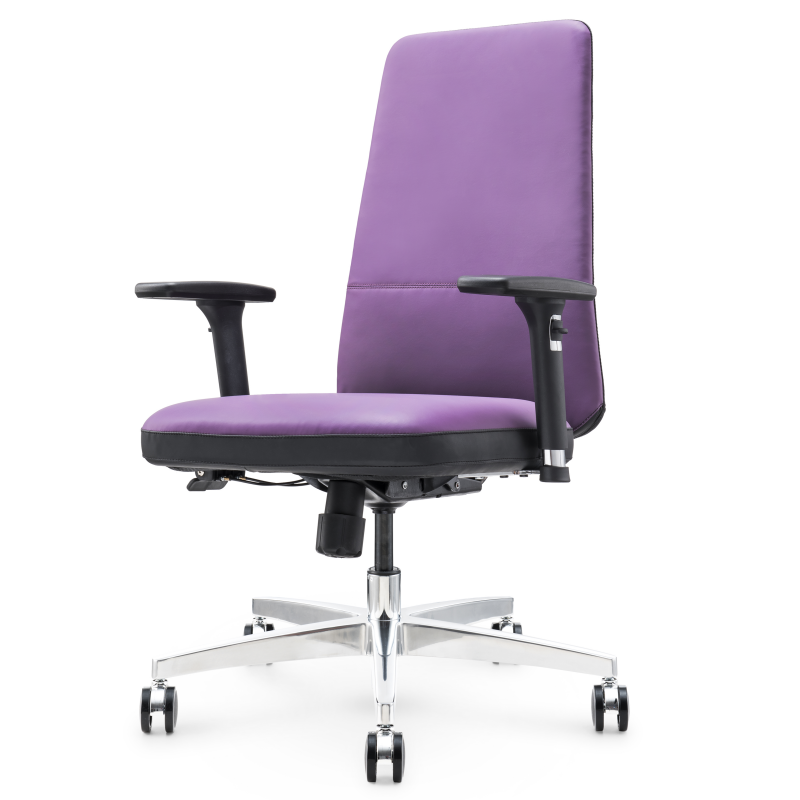 Ergonomic Leder Office Stuhl S02B - Verstellbare, komfortable Büro -Sitzplätze für den Gebrauch von Zuhause und Büro