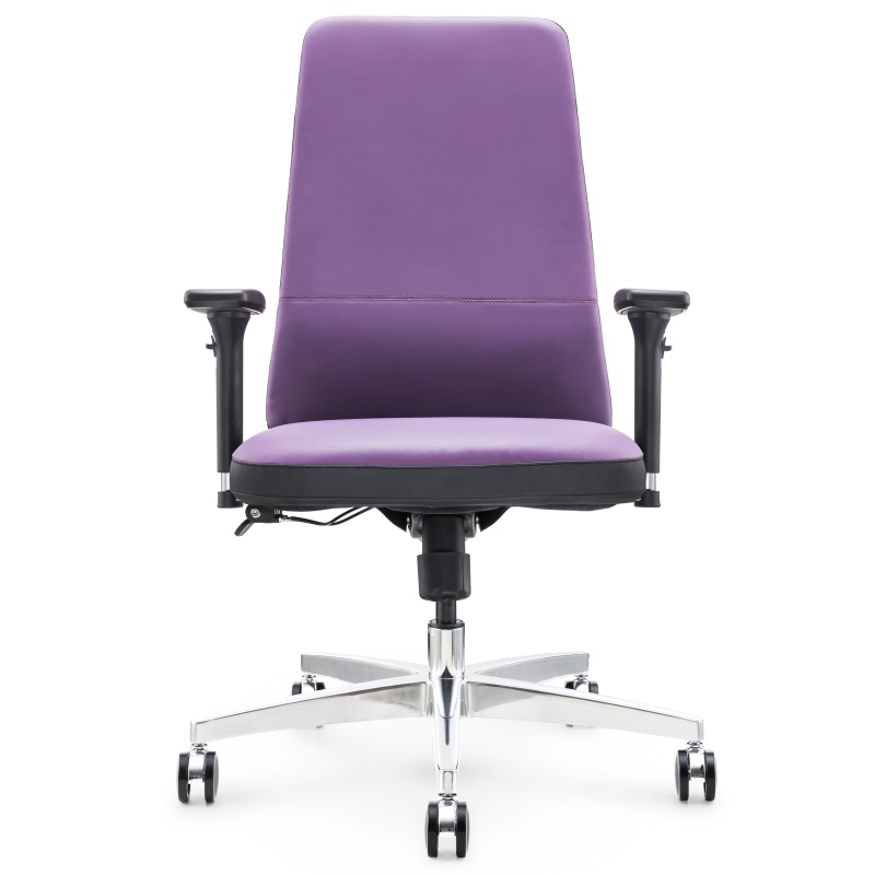 Ergonomic Leder Office Stuhl S02B - Verstellbare, komfortable Büro -Sitzplätze für den Gebrauch von Zuhause und Büro