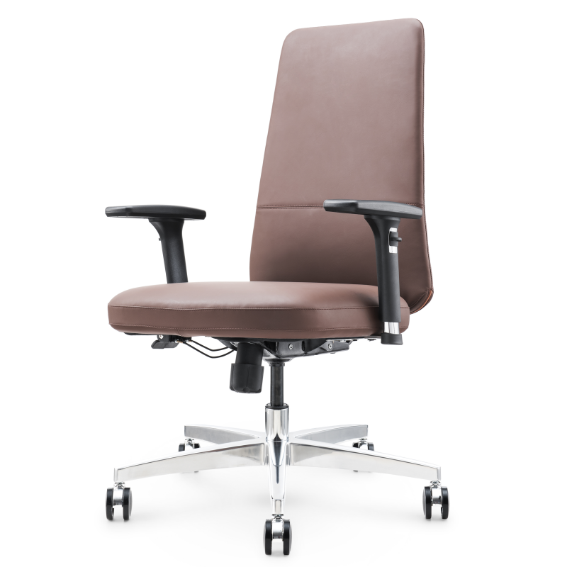 Ergonomic Leder Office Stuhl S02B - Premium -Komfort und Unterstützung für Haus- oder Büroarbeit