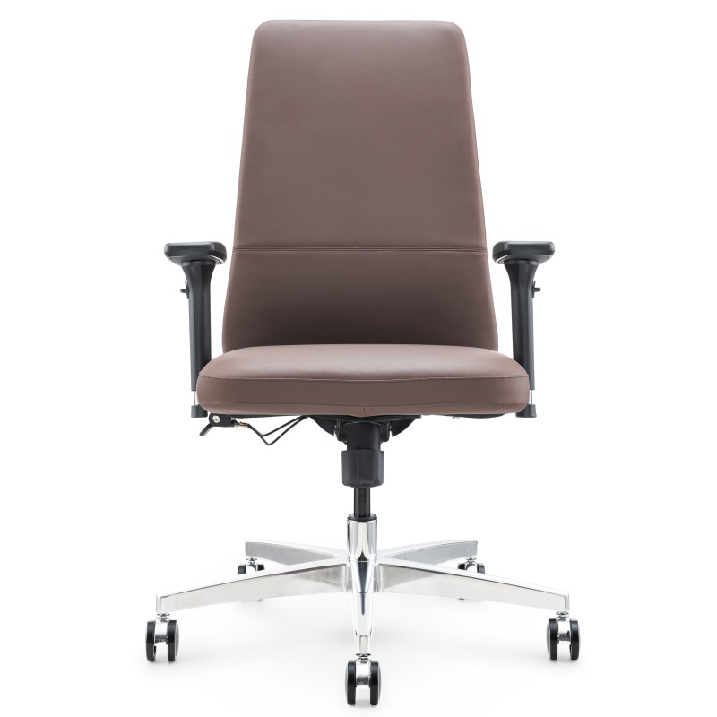 Ergonomic Leder Office Stuhl S02B - Premium -Komfort und Unterstützung für Haus- oder Büroarbeit