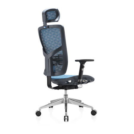 Office Chair For Back Problems
