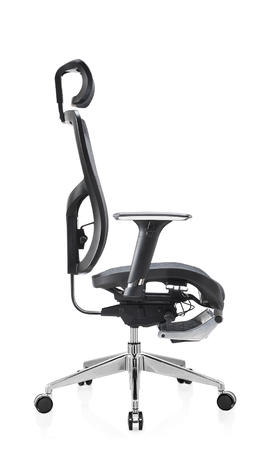 Back Support Office Chair