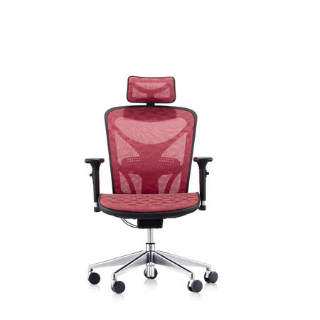 ergonomic Mesh Chair